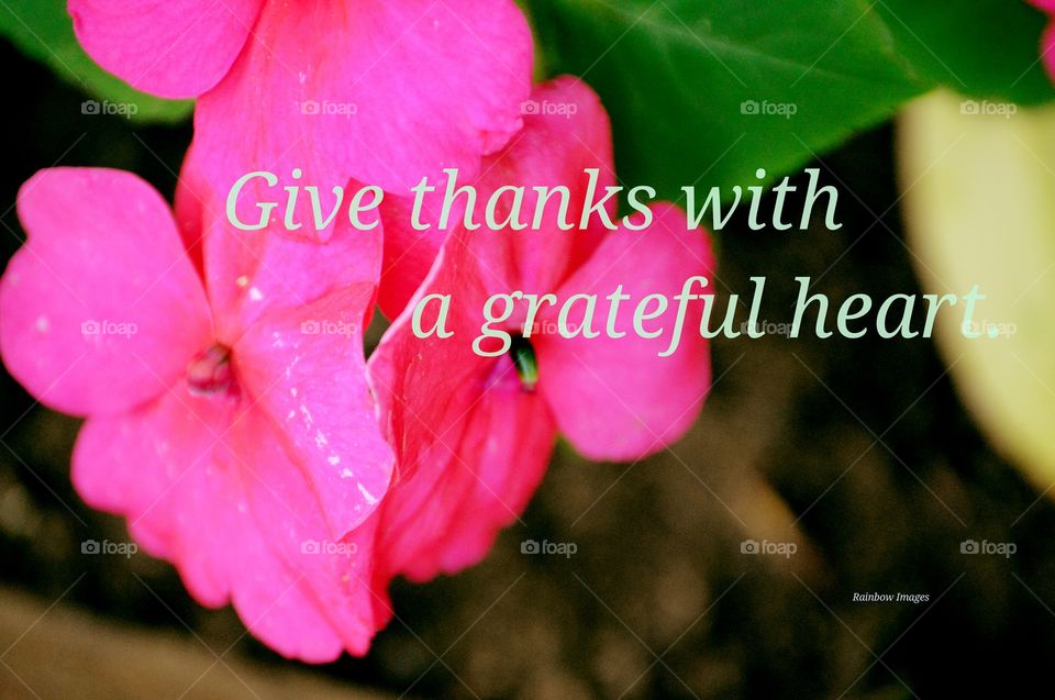 Give Thanks