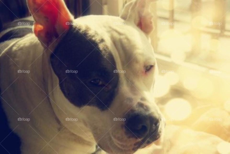 light effect - rocky