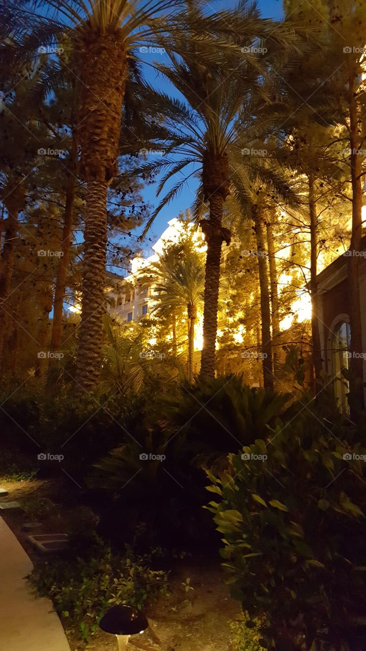 Resort at night with palm trees