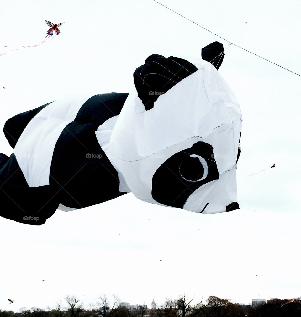 Sport, Snow, Competition, Winter, Recreation