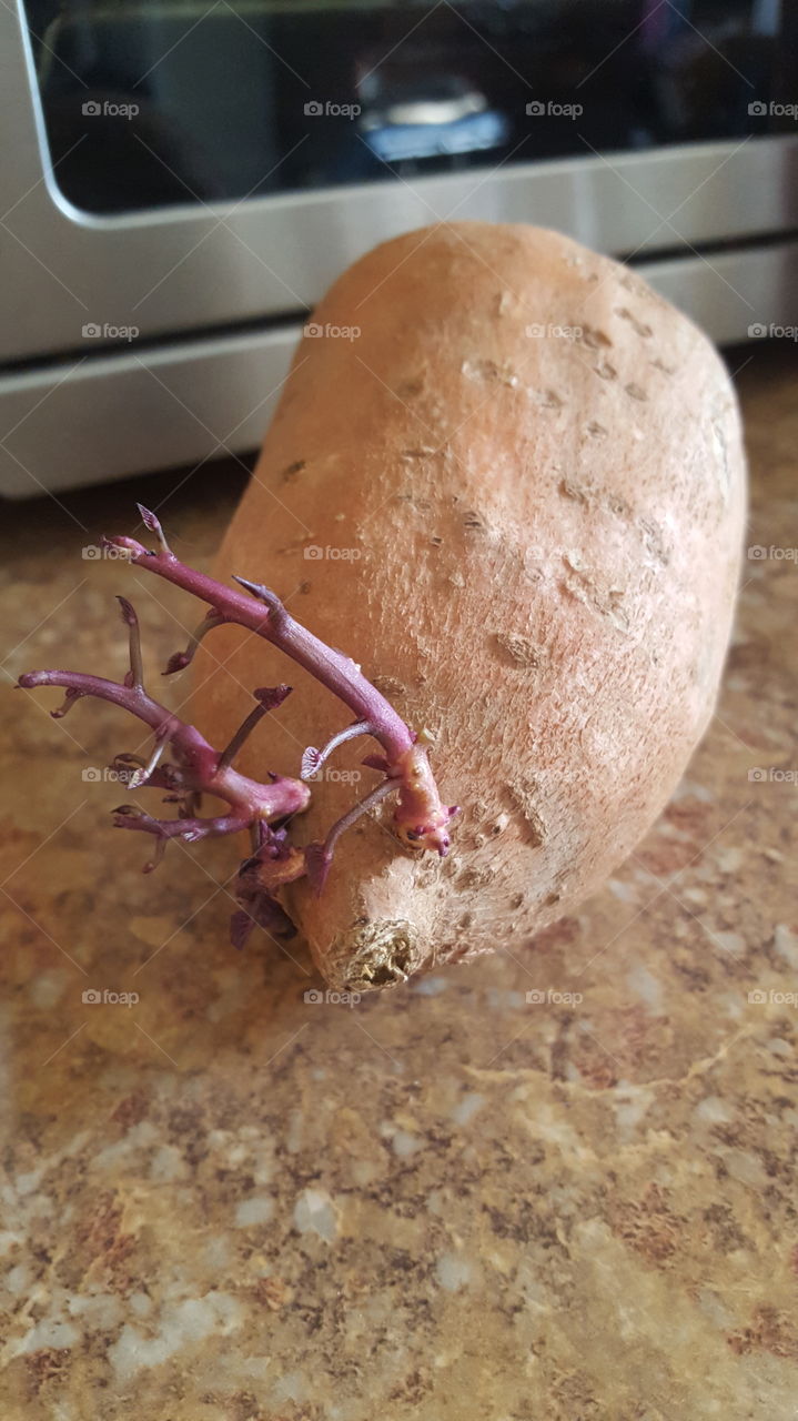 create sweet potato