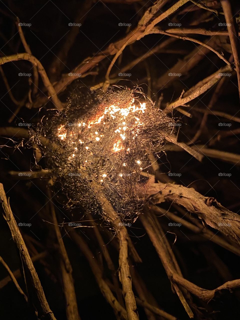 Sparks in twigs 