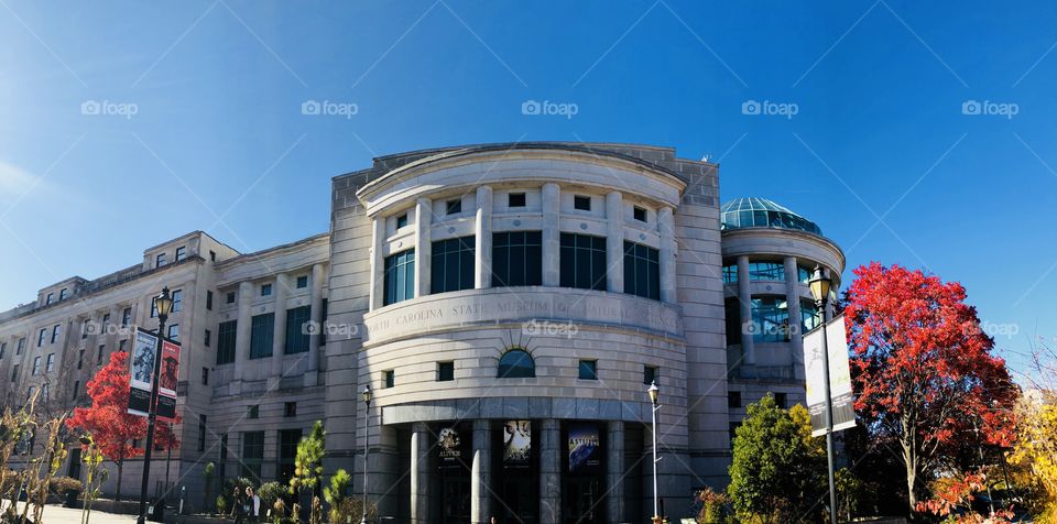 Museum of natural sciences 