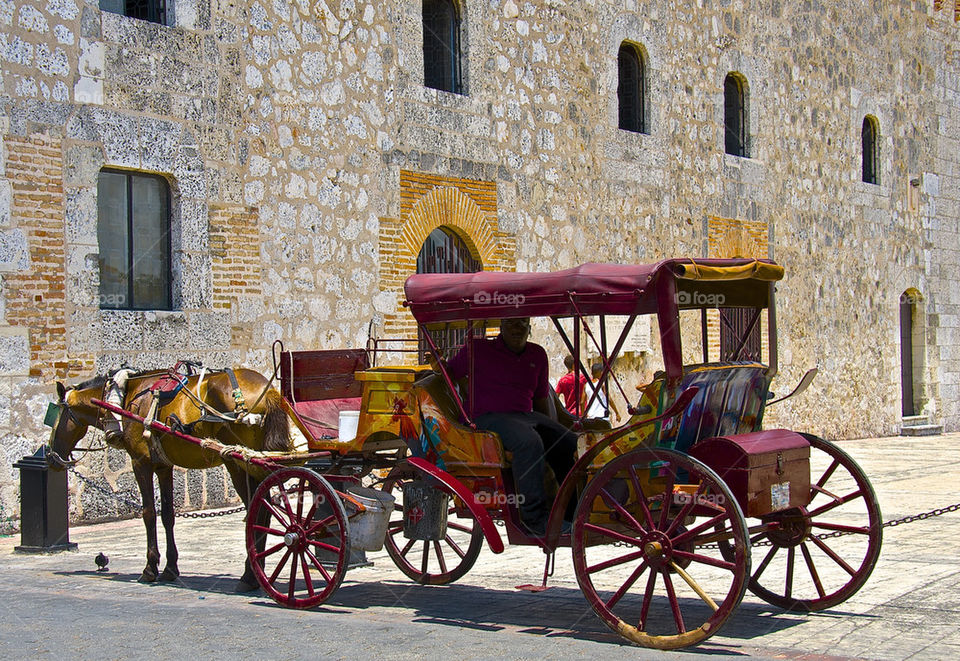 Horse and Carriage