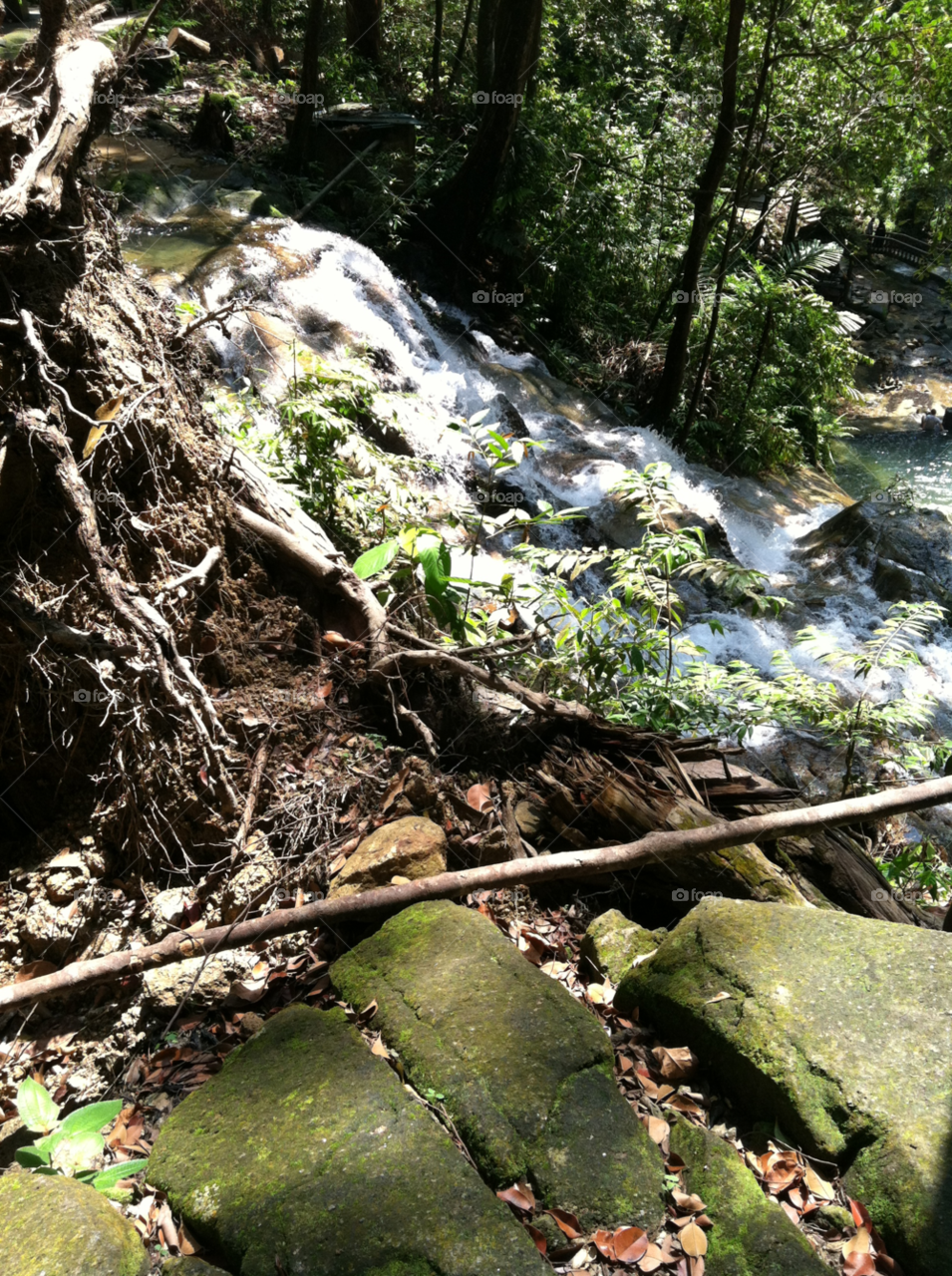 trees water jungle waterfall by spiffysavannah