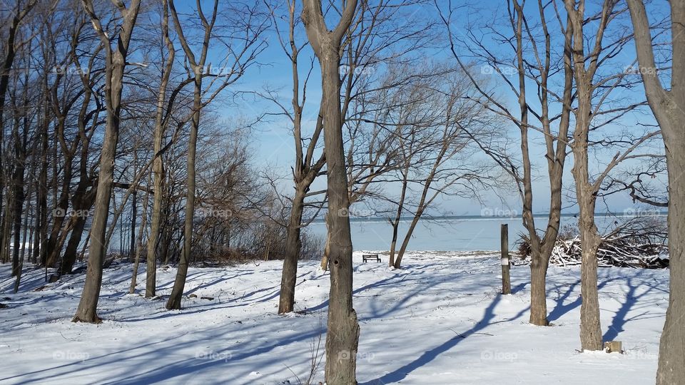 Winter at the Lake