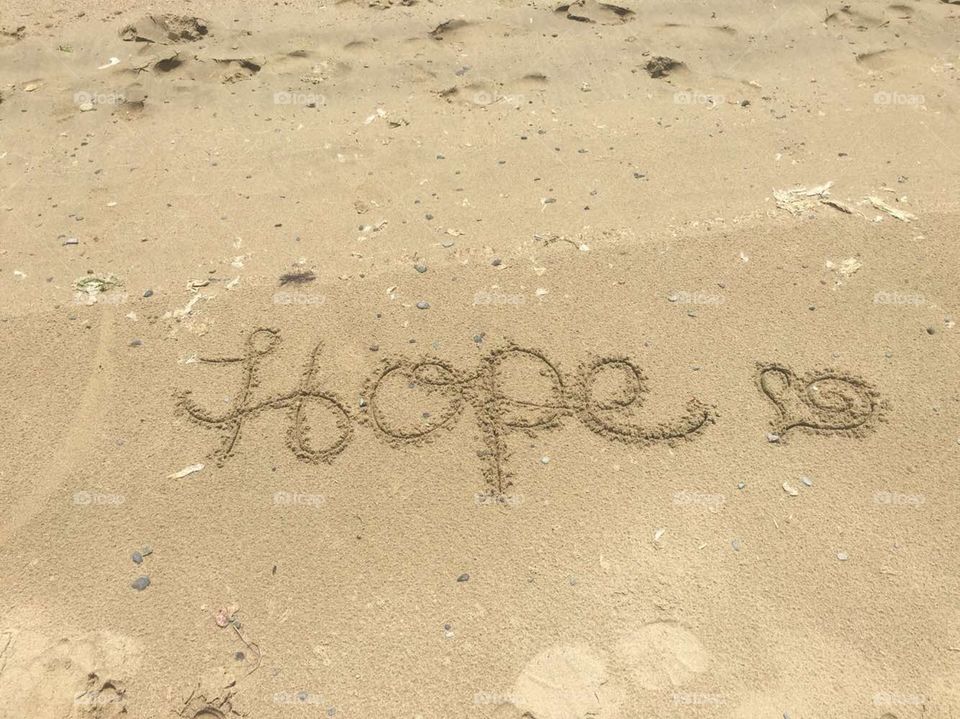Hope can make the most sane people do the craziest things. It can raise you up or tear you down; but without it, we would be lost.