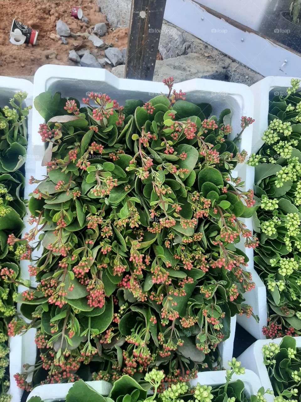 Please make me happy, I am poor, I need your help with support