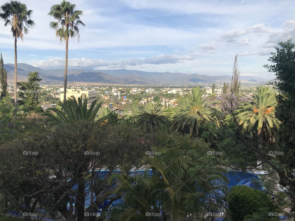 View to Oaxaca, City. 