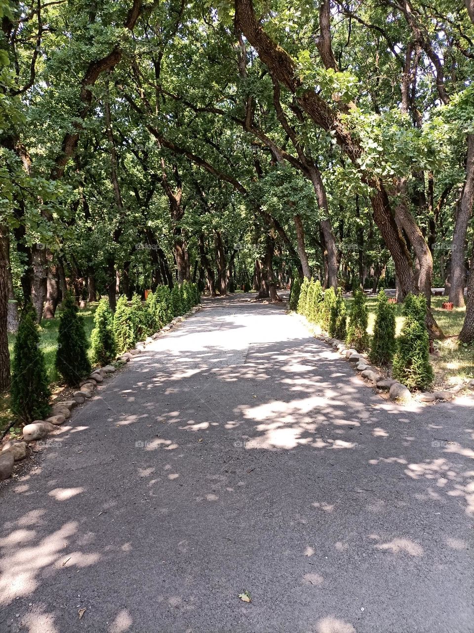 The beauty in nature