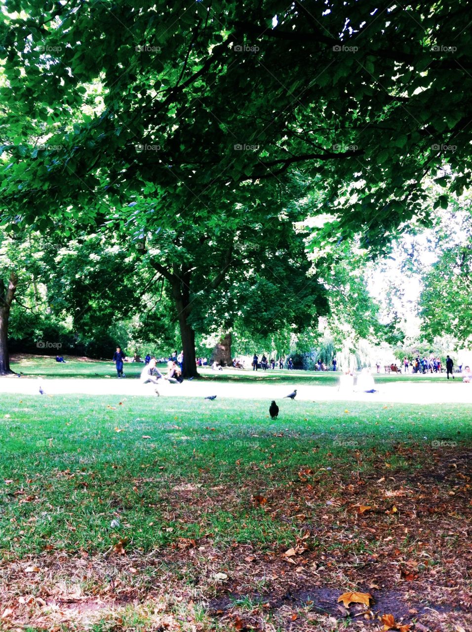 St. James park. London