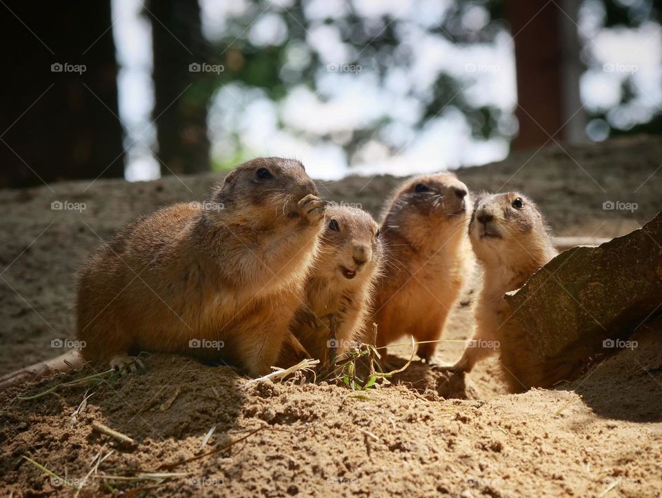 Family meeting