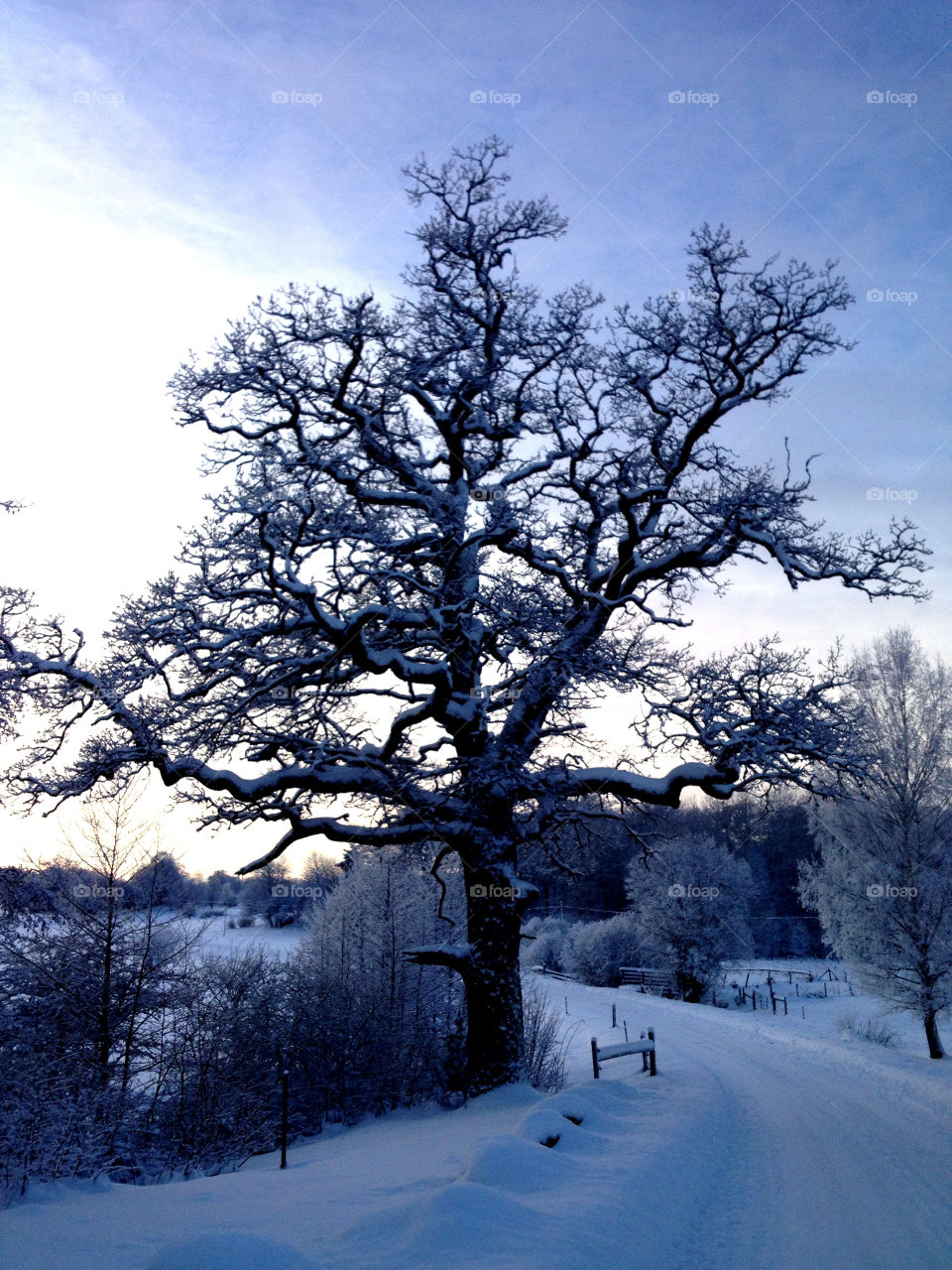 snow winter sky blue by joosse_b