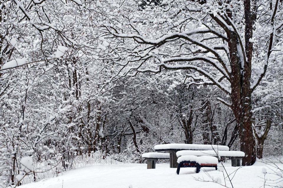 Picnic spot in winter snowy forest