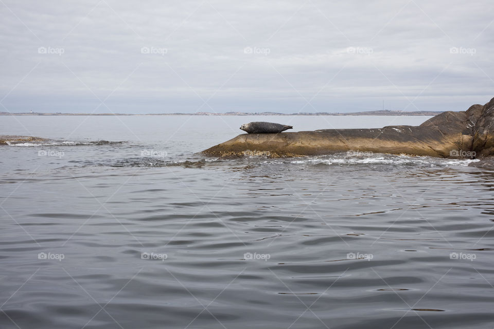 Water, Sea, Ocean, Beach, No Person