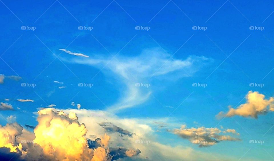 A unique view of the sky