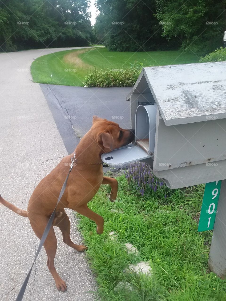 Checking The Mail