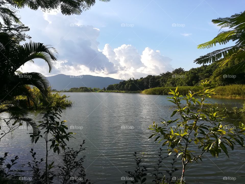 lagoon in summer