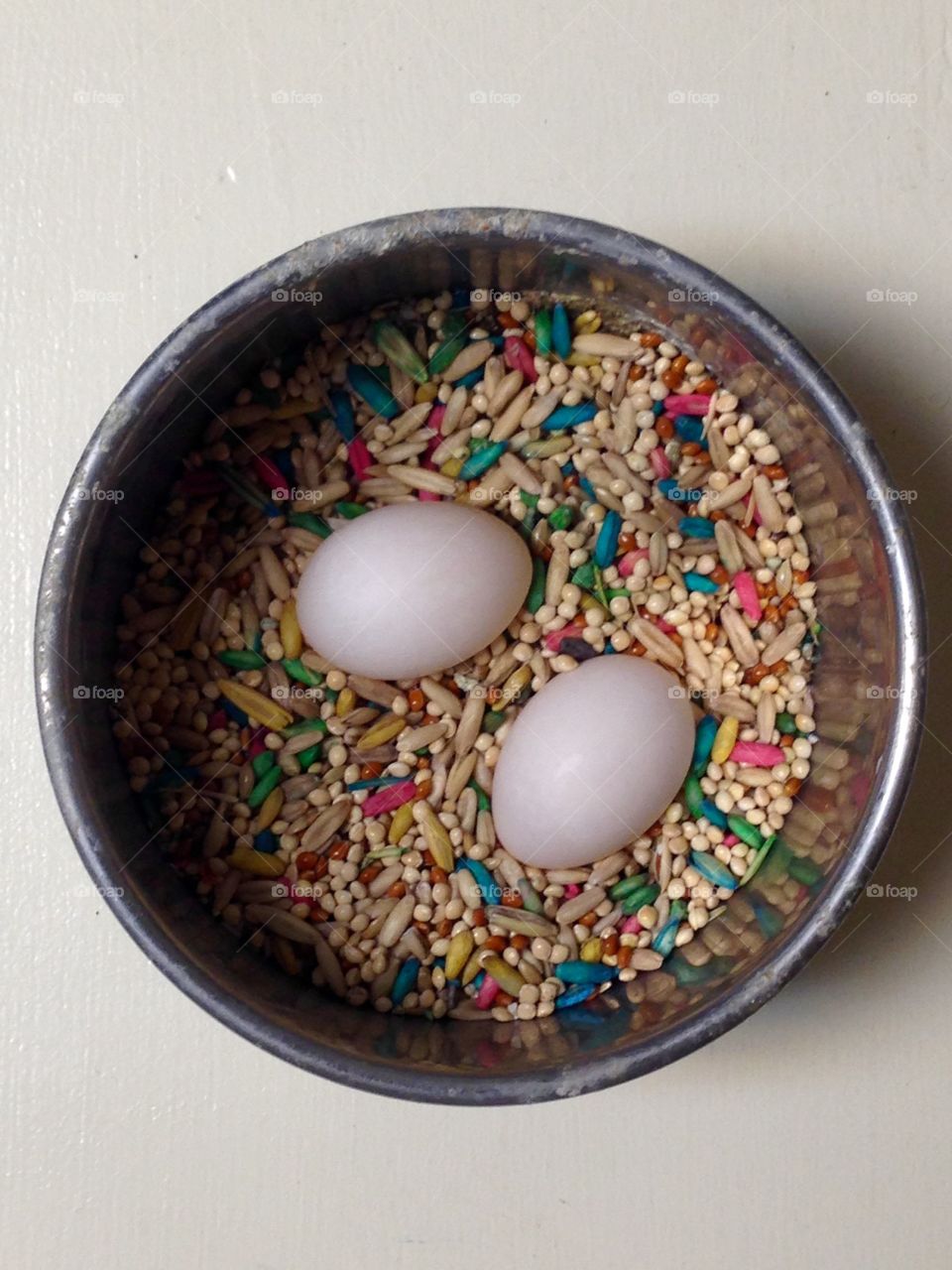 Dove eggs. Dove eggs