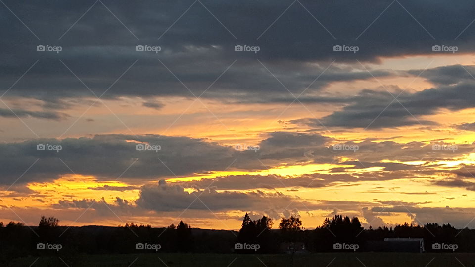 Sunset with clouds over tree tops