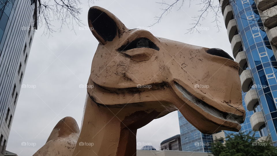 camel statue in urban landscape