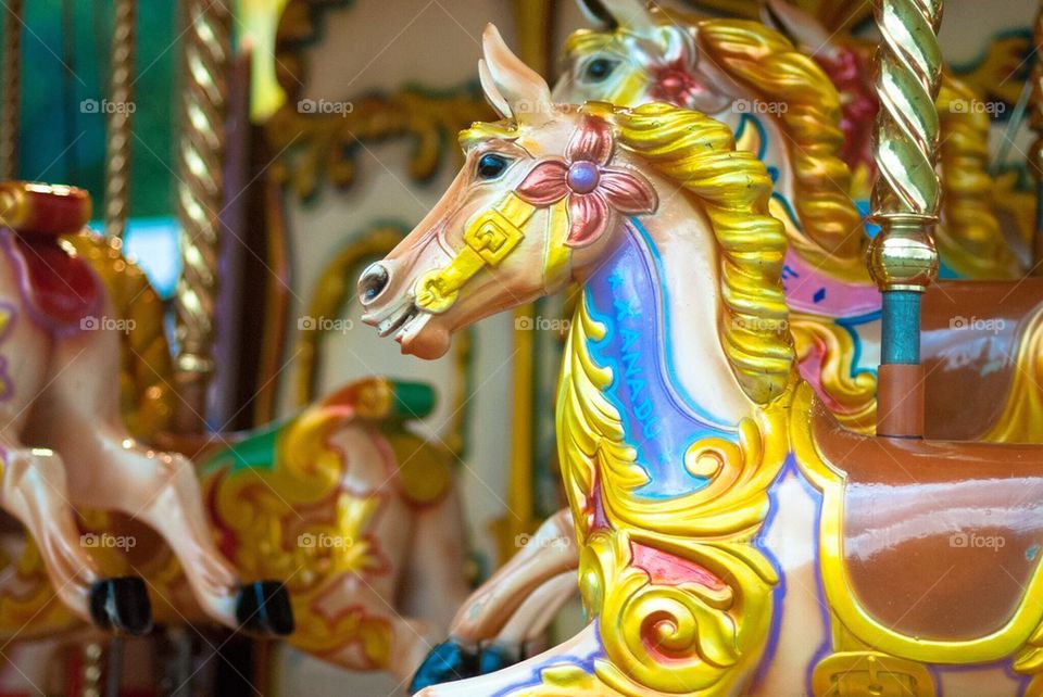 Horses on the fair