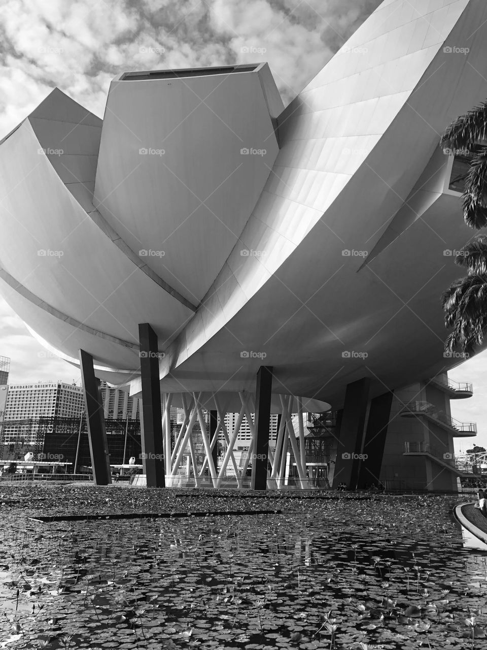 Lotus  building -  already accepted, but accidentally deleted - sorry I’m new to Foap