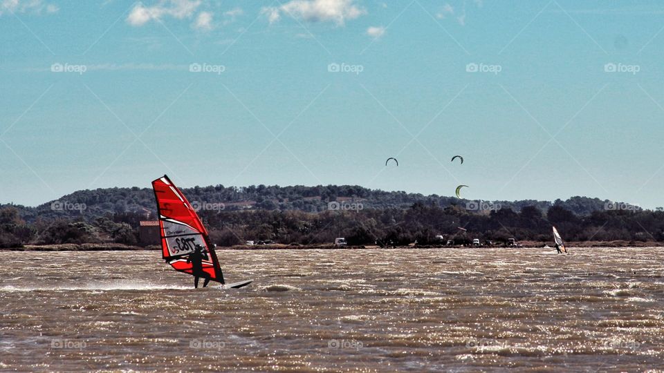 windsurfer