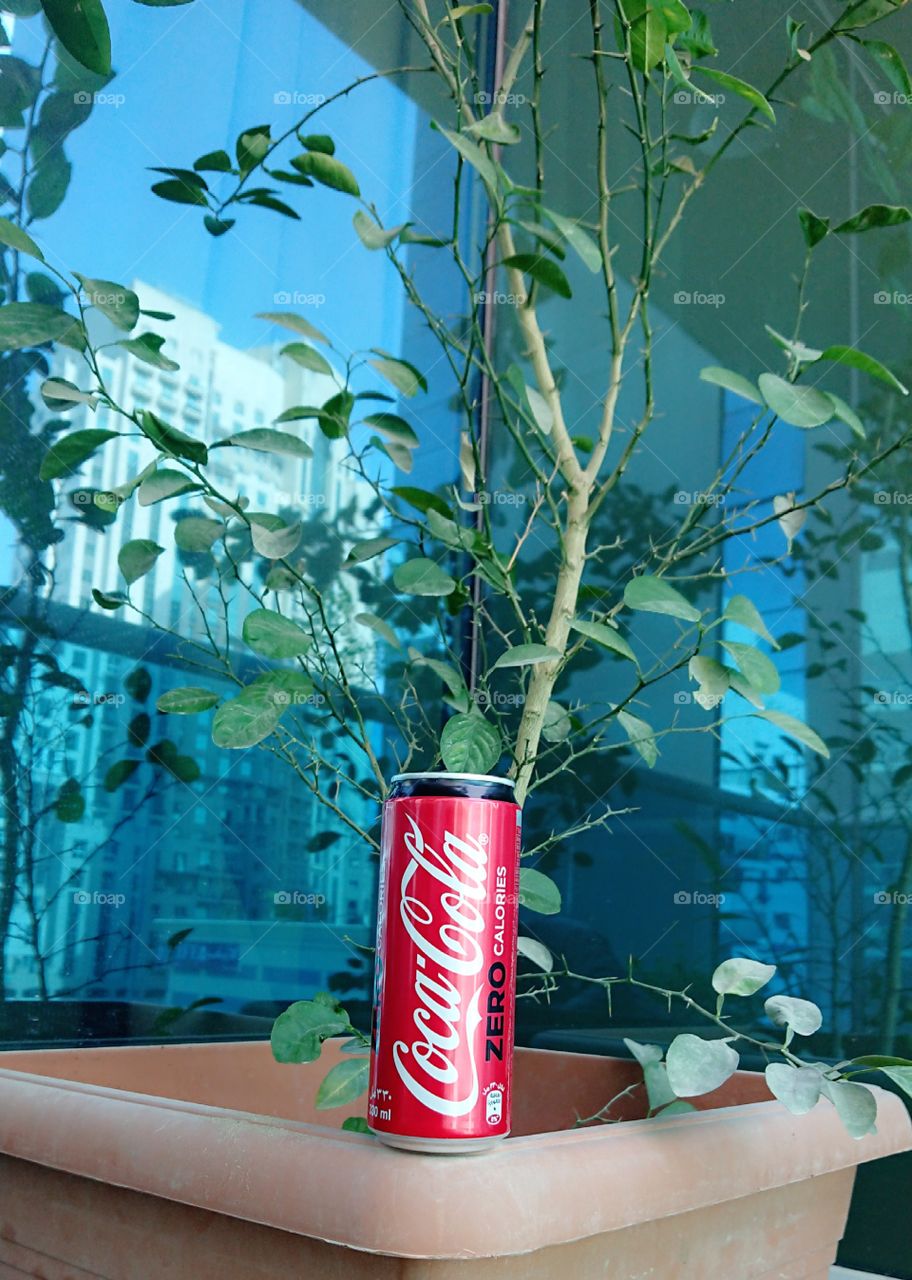 Welcome to Foap Plus!