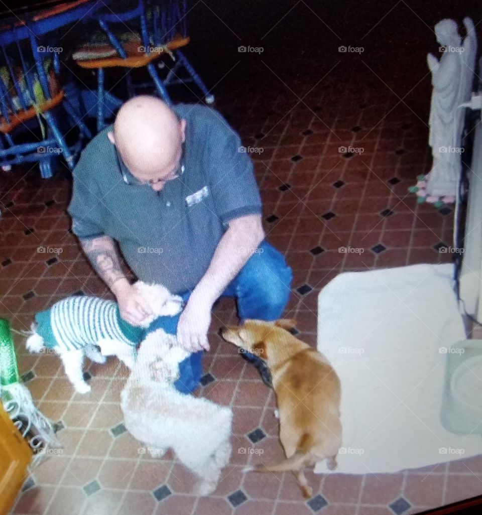 Man giving families three dogs a treat all at the same time.