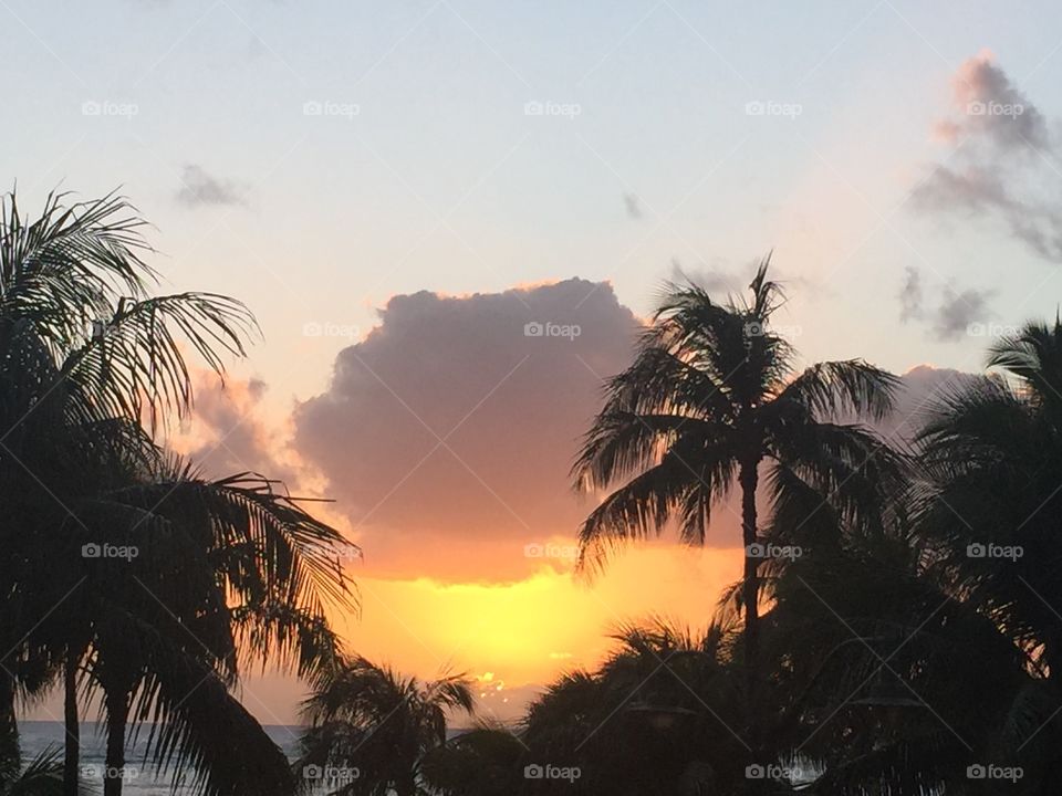 Waikiki sunset. Sunset