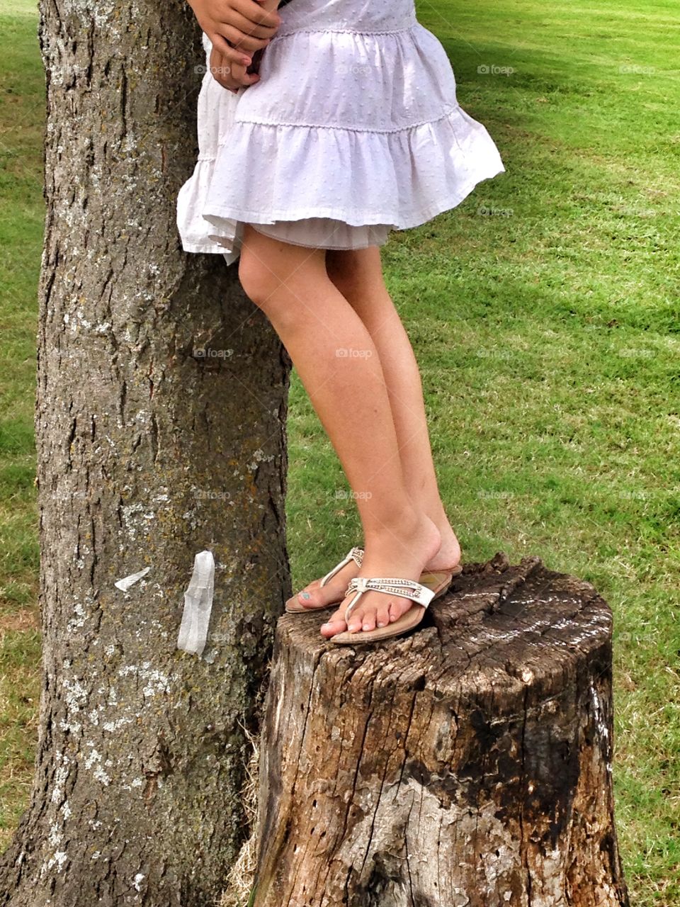 Stumped again. Girl standing on a tree stump 