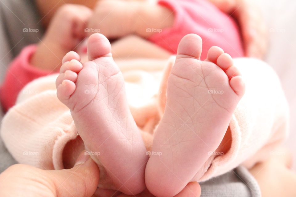 Crop hand holding newborn babies feet