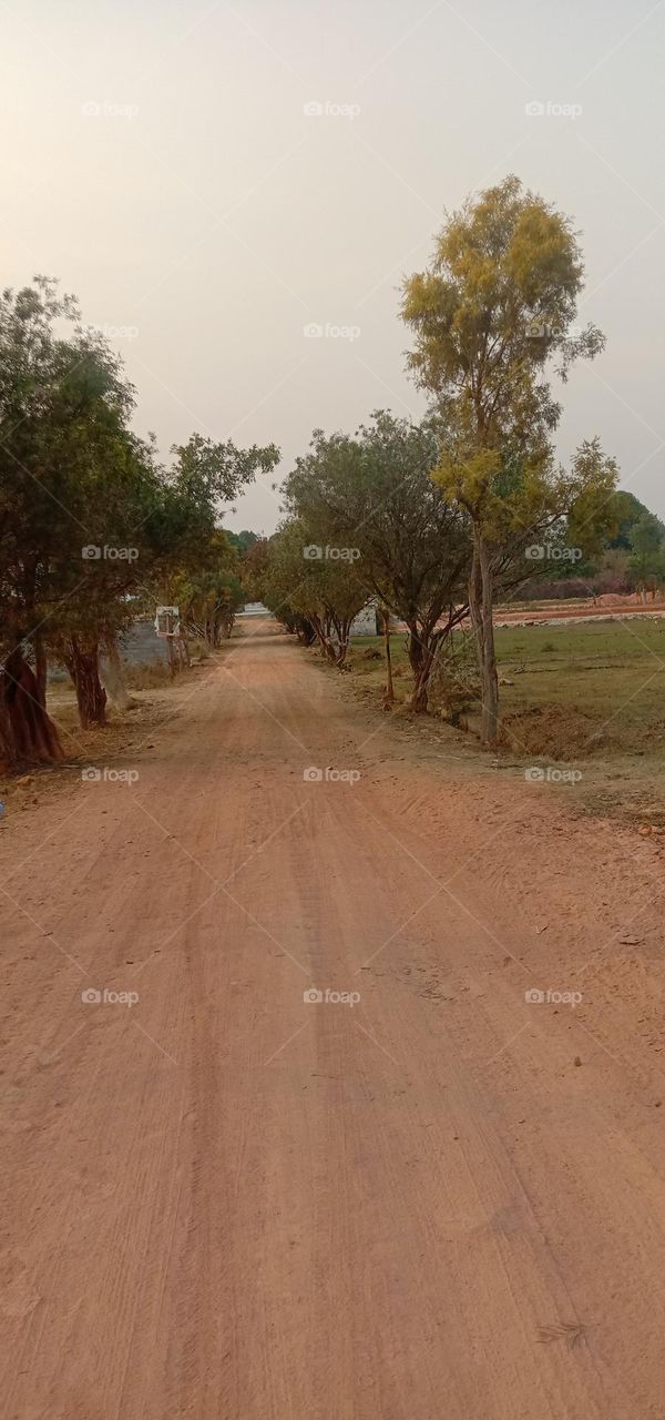 when you go forward only look forward ⏩