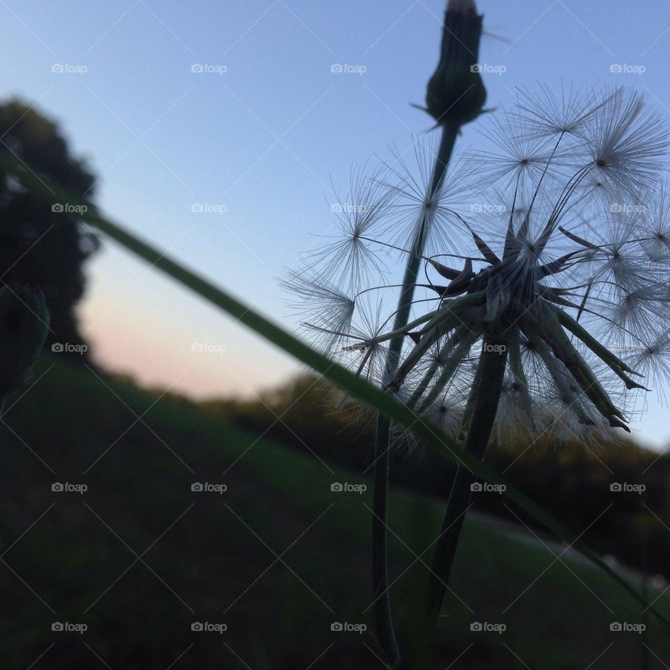 Oklahoma spring evening