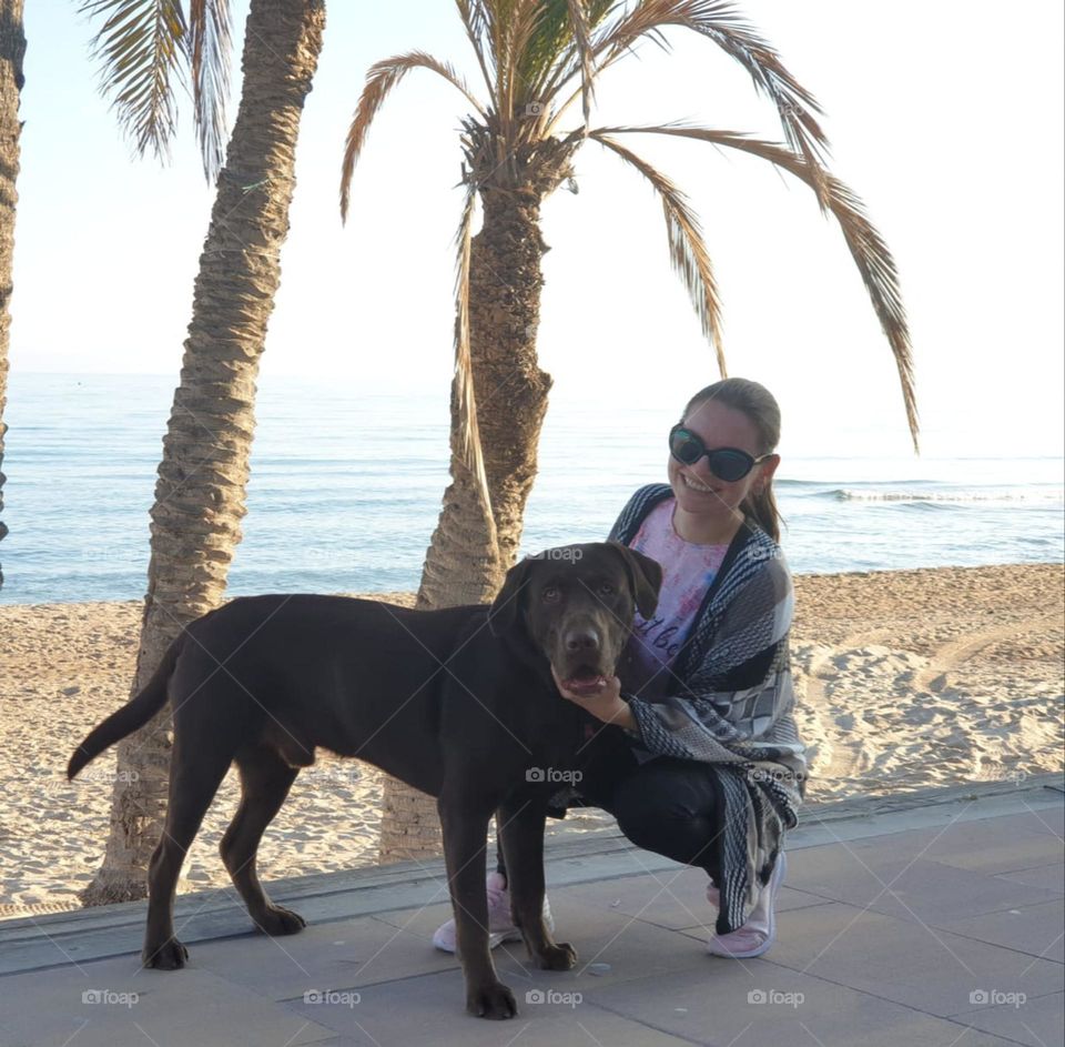 Palms#sea#human#dog