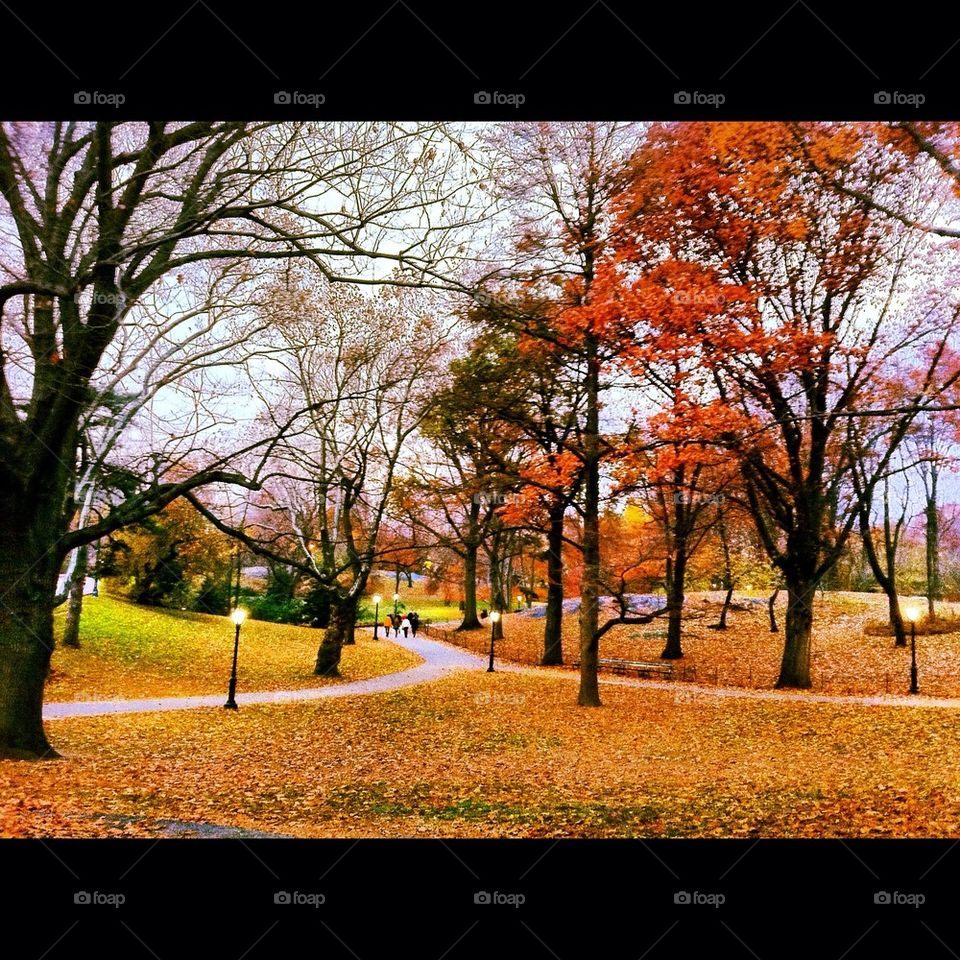 Autumn in New York