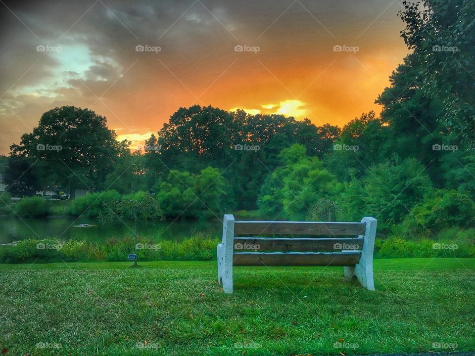 Empty wooden bench in park during sunset