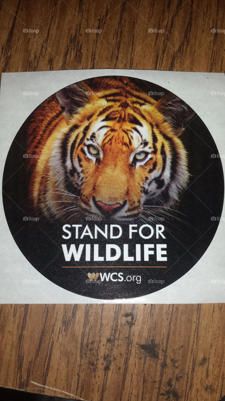 Wild Life Sticker
