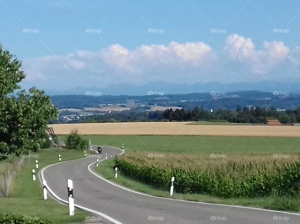 Lonely road in germany in summer time