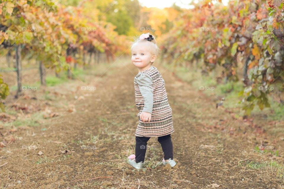 Baby girl playing in Napa Vineyard in Autumn