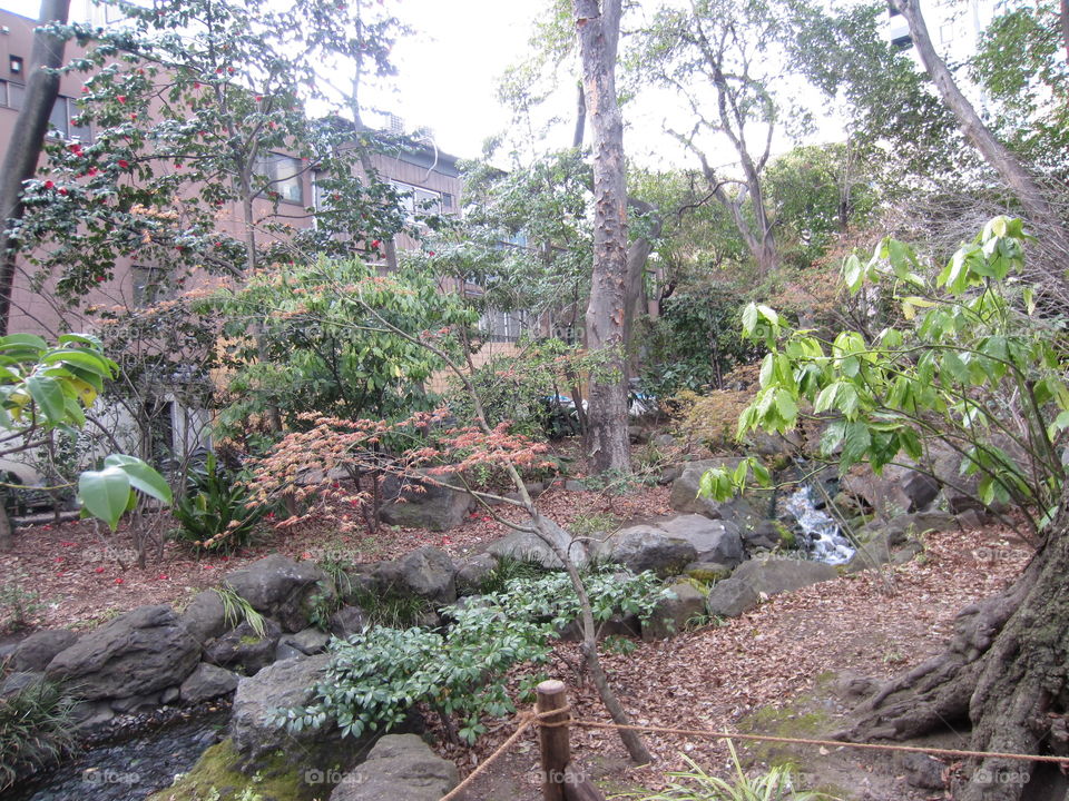 Asakusa Kannon. Sensoji Buddhist Temple and Gardens. Tokyo, Japan. Colorful Zen Garden in Springtime