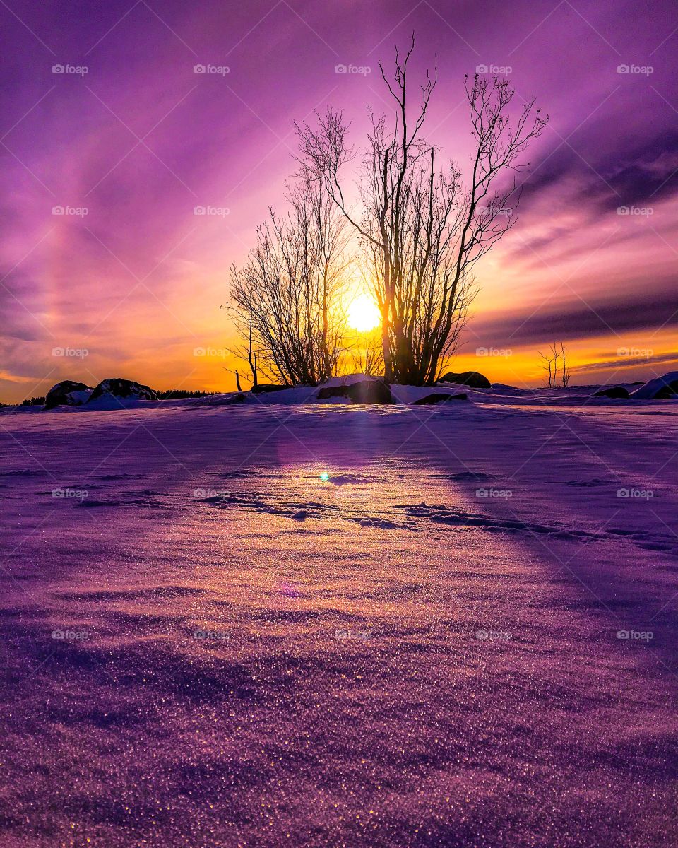 Winter sunset