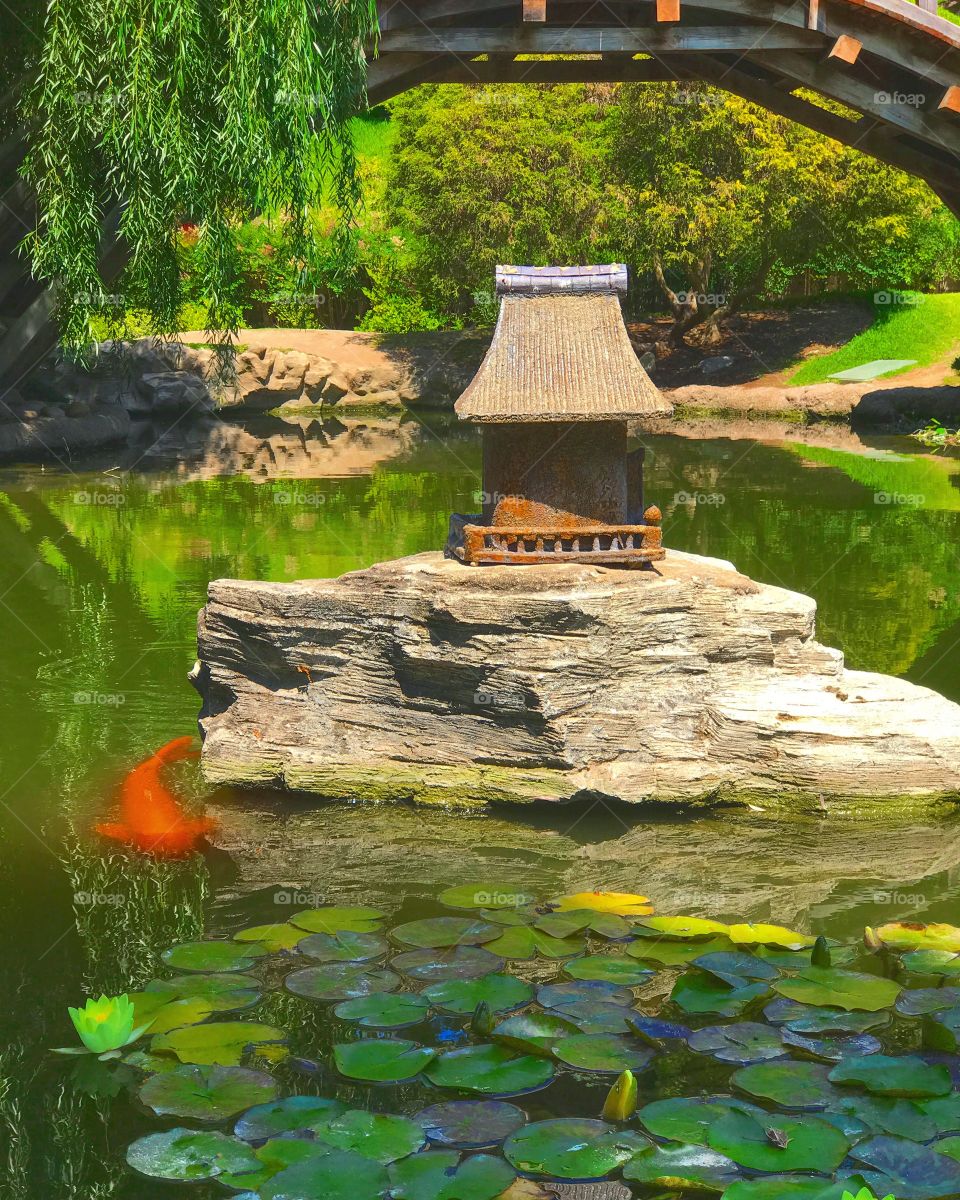 Tranquil day at the Huntington Gardens in Pasadena, California. 