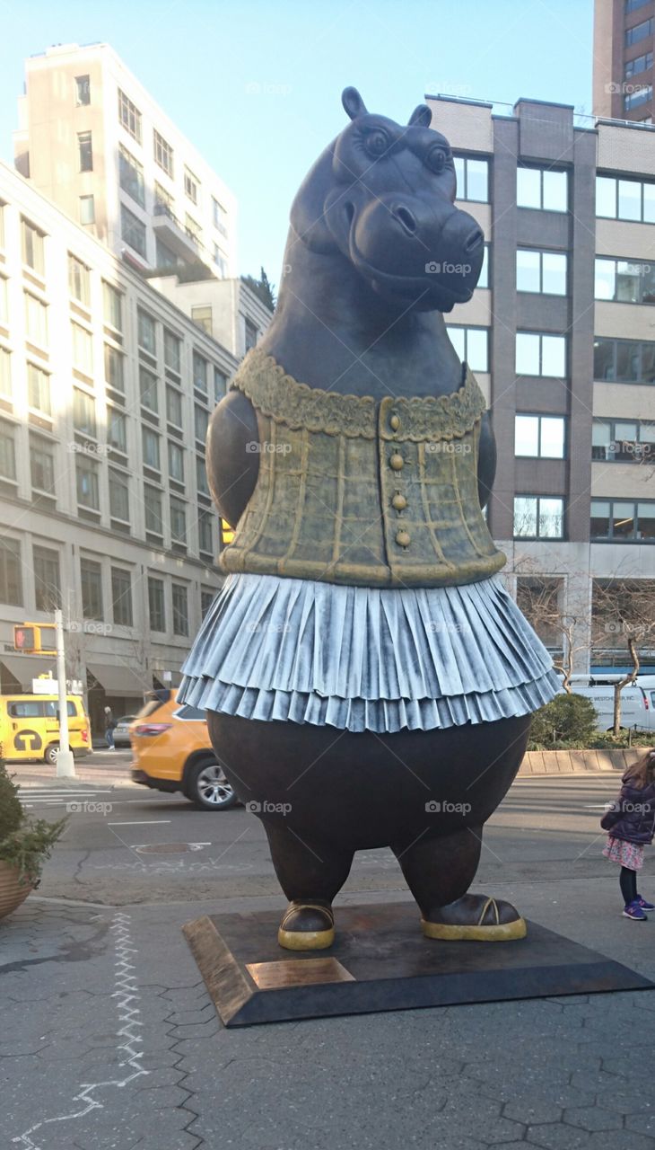 Hippo in a Dress