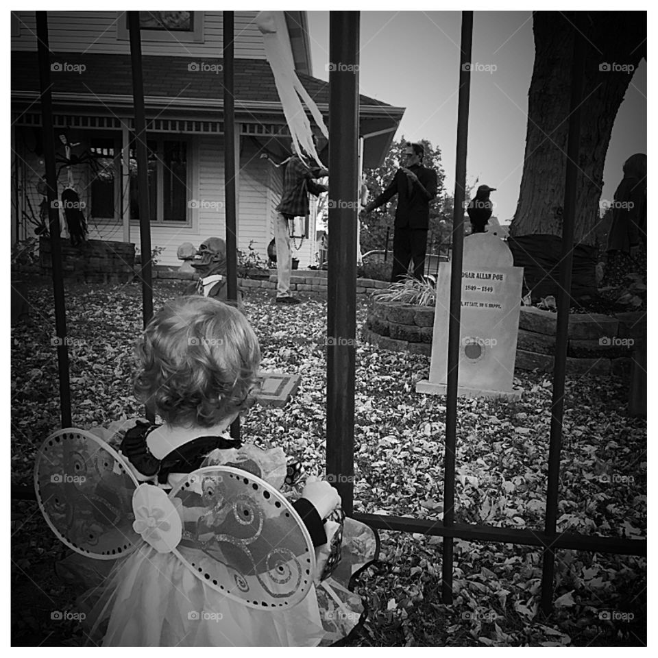 Cute little bumblebee looking at Halloween decorations 