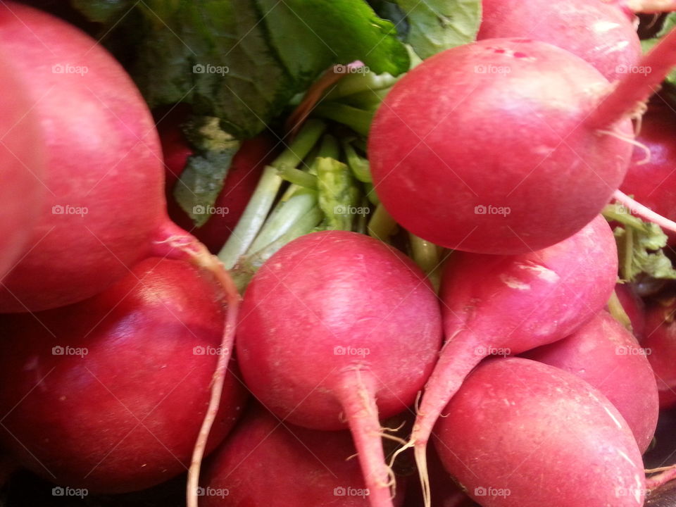 radish. salad