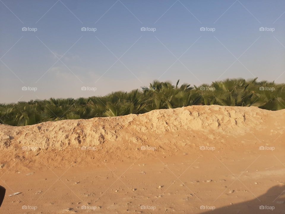 Please make me happy, I am poor, I need your help with support