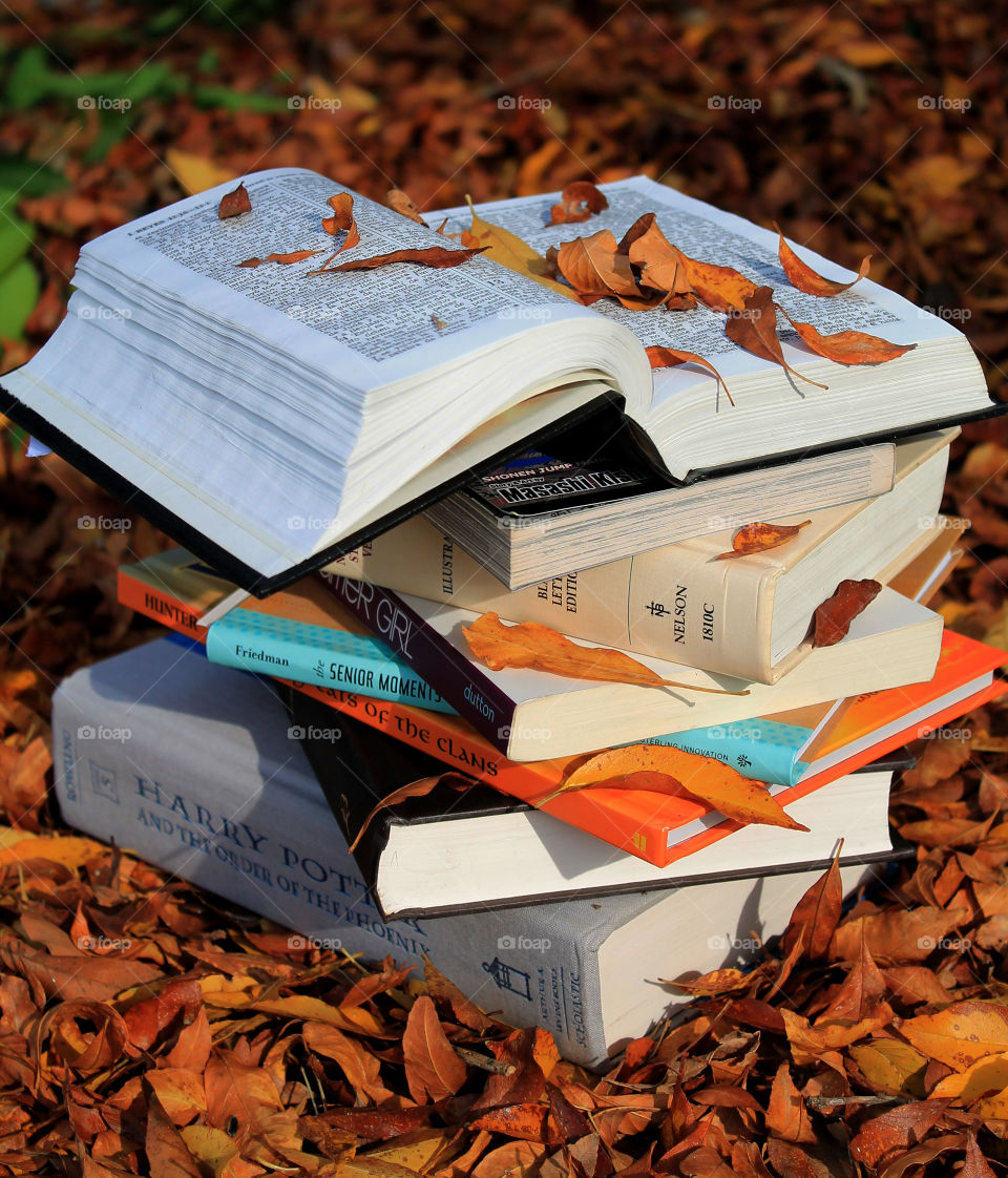 Stack of Books