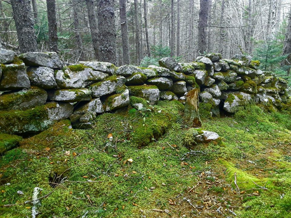 Discovering An Old, Mossy, Stone Wall Along A Misty Hike In The Woods